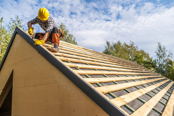 Best Roof Inspection Near Me  in Deerfield, MI